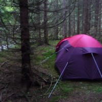 Réflexions sur un voyage en Norvège