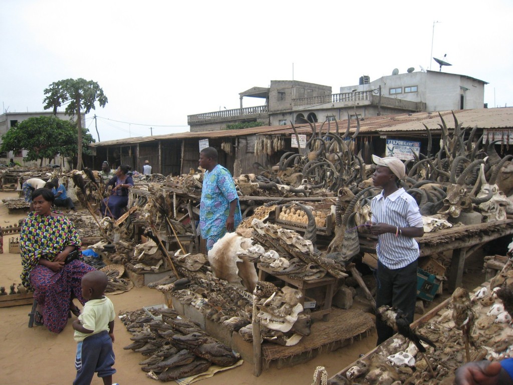 Le marché des fétiches de Lomé au Togo
