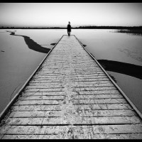 Il y a deux type de voyageurs : les solitaires et les autres
