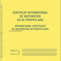 Récapitulatif sur les vaccinations en voyage