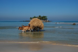 La côte birmane par Tartarin