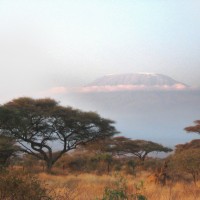 Amboseli : un parc avec vue sur le Kilimandjaro
