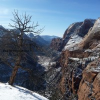 Le promontoire Angel’s Landing au Zion National Park