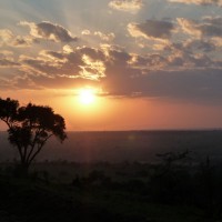 5 raisons pour voyager en Afrique