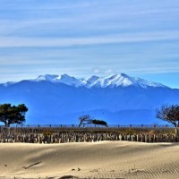 Partir en vacances à la plage ou à la montagne ?